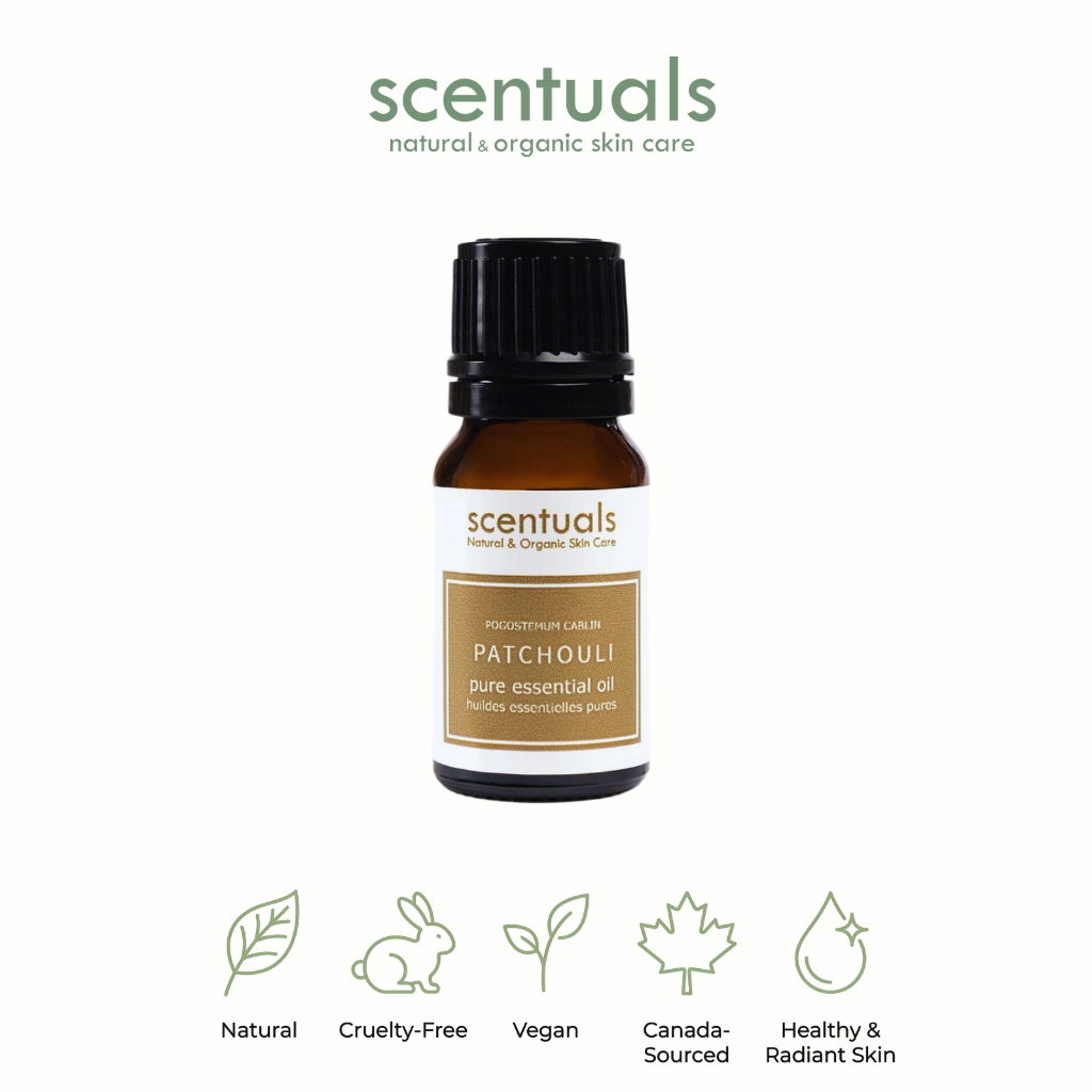 Tinh Dầu Hoắc Hương Scentuals 10ml – 100% Pure Patchouli Essential Oil Giúp Thư Giãn - Ảnh 2