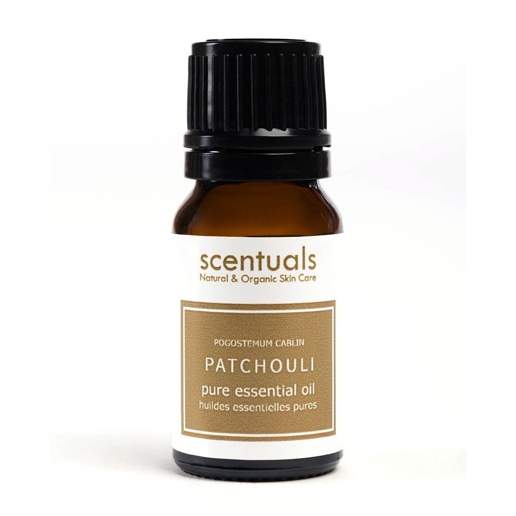 Tinh Dầu Hoắc Hương Scentuals 10ml – 100% Pure Patchouli Essential Oil Giúp Thư Giãn - Ảnh 3