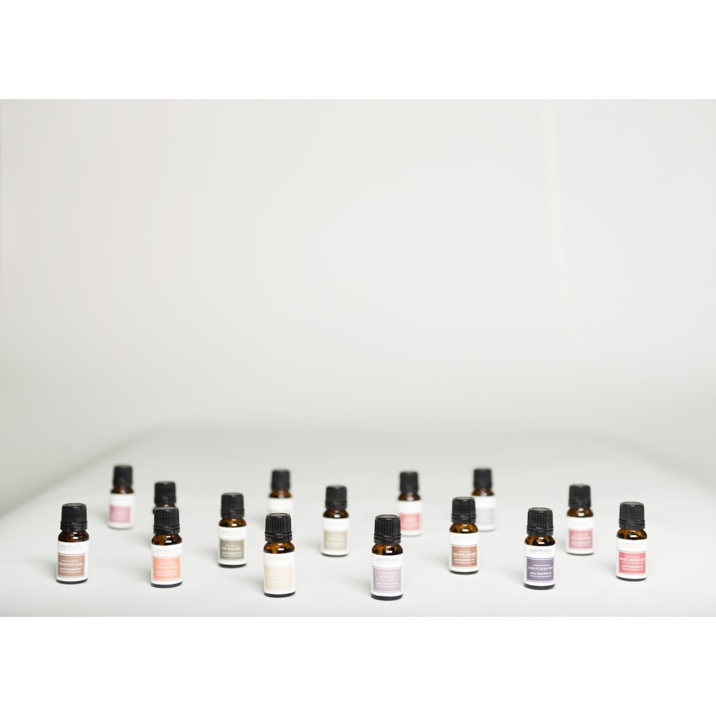 Tinh Dầu Hoắc Hương Scentuals 10ml – 100% Pure Patchouli Essential Oil Giúp Thư Giãn - Ảnh 5